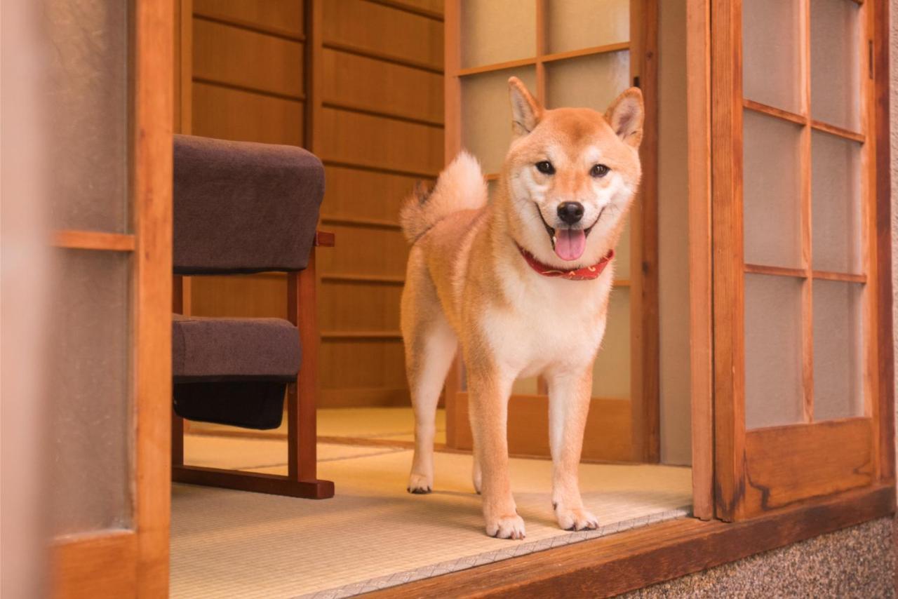 京都市 京町 誠ヴィラ エクステリア 写真